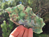 Polished On One Side Emerald Mtorolite Plates x 6 From Mutorashanga, Zimbabwe