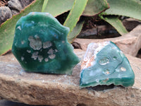 Polished On One Side Emerald Mtorolite Plates x 6 From Mutorashanga, Zimbabwe