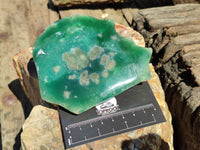 Polished On One Side Emerald Mtorolite Plates x 6 From Mutorashanga, Zimbabwe