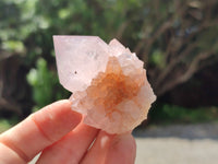 Natural Amethyst Spirit Quartz Clusters x 12 From Boekenhouthoek, South Africa