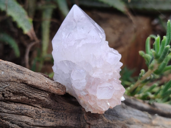 Natural Amethyst Spirit Quartz Clusters x 12 From Boekenhouthoek, South Africa