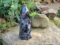 Polished Gabbro Merlinite Tower x 1 From Madagascar