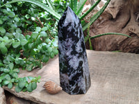 Polished Gabbro Merlinite Tower x 1 From Madagascar