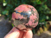 Polished Rhodonite Spheres x 3 From Ambindavato, Madagascar