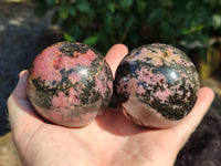 Polished Rhodonite Spheres x 3 From Ambindavato, Madagascar