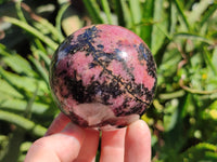 Polished Rhodonite Spheres x 3 From Ambindavato, Madagascar