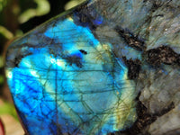 Polished Labradorite Standing Free Forms x 2 From Tulear, Madagascar