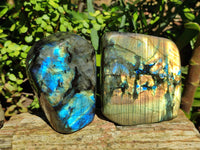 Polished Labradorite Standing Free Forms x 2 From Tulear, Madagascar