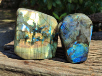 Polished Labradorite Standing Free Forms x 2 From Tulear, Madagascar