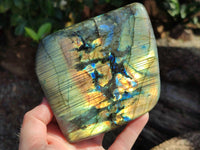 Polished Labradorite Standing Free Forms x 2 From Tulear, Madagascar