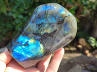 Polished Labradorite Standing Free Forms x 2 From Tulear, Madagascar