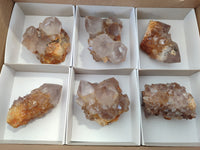 Natural Ametrine Spirit Quartz Clusters x 6 From Boekenhouthoek, South Africa