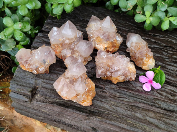 Natural Ametrine Spirit Quartz Clusters x 6 From Boekenhouthoek, South Africa