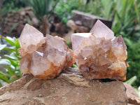 Natural Ametrine Spirit Quartz Clusters x 6 From Boekenhouthoek, South Africa