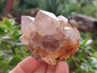 Natural Ametrine Spirit Quartz Clusters x 6 From Boekenhouthoek, South Africa