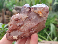 Natural Red Hematoid Quartz Cluster x 3 From Karoi, Zimbabwe