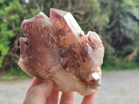 Natural Red Hematoid Quartz Cluster x 3 From Karoi, Zimbabwe