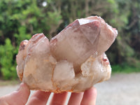 Natural Red Hematoid Quartz Cluster x 3 From Karoi, Zimbabwe