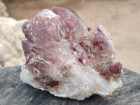 Natural Red Hematoid Quartz Cluster x 3 From Karoi, Zimbabwe