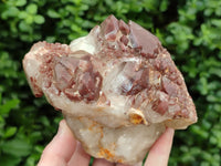 Natural Red Hematoid Quartz Cluster x 3 From Karoi, Zimbabwe