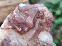 Natural Red Hematoid Quartz Cluster x 3 From Karoi, Zimbabwe