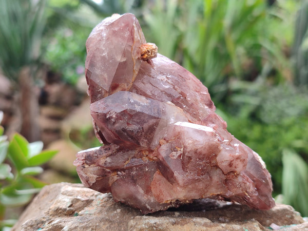 Natural Red Hematoid Quartz Cluster x 3 From Karoi, Zimbabwe