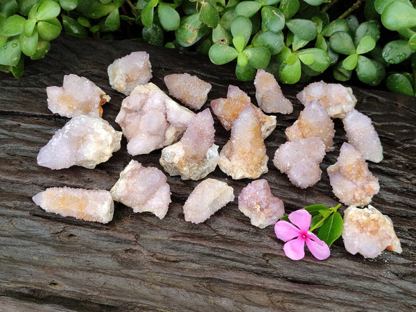 Natural Amethyst Spirit Quartz Clusters x 28 From Boekenhouthoek, South Africa