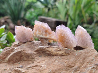 Natural Amethyst Spirit Quartz Clusters x 28 From Boekenhouthoek, South Africa