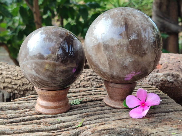 Polished Smokey Quartz Spheres / Balls x 2 From Madagascar