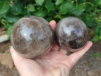 Polished Smokey Quartz Spheres / Balls x 2 From Madagascar