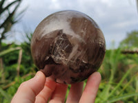 Polished Smokey Quartz Spheres / Balls x 2 From Madagascar