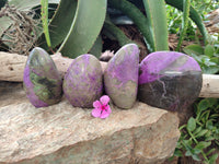 Polished Stichtite Standing Free Forms x 4 From Barberton, South Africa