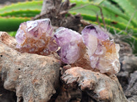 Natural Amethyst Spirit Quartz Clusters x 35 From Boekenhouthoek, South Africa