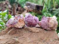 Natural Amethyst Spirit Quartz Clusters x 35 From Boekenhouthoek, South Africa