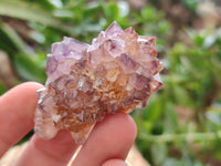 Natural Amethyst Spirit Quartz Clusters x 35 From Boekenhouthoek, South Africa