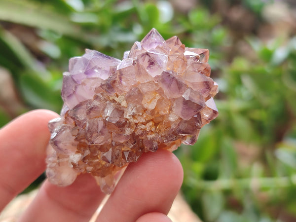 Natural Amethyst Spirit Quartz Clusters x 35 From Boekenhouthoek, South Africa