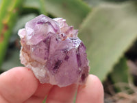 Natural Amethyst Spirit Quartz Clusters x 35 From Boekenhouthoek, South Africa