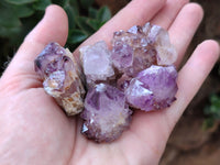 Natural Amethyst Spirit Quartz Clusters x 35 From Boekenhouthoek, South Africa