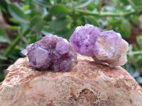 Natural Amethyst Spirit Quartz Clusters x 35 From Boekenhouthoek, South Africa