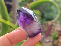 Polished Smokey Window Amethyst Quartz Crystals x 7 From Akansobe, Madagascar