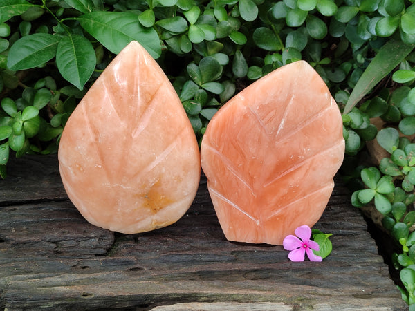 Polished Orange Twist Calcite Leaf Carving Standing Free Forms x 2 From Madagascar