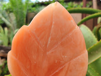 Polished Orange Twist Calcite Leaf Carving Standing Free Forms x 2 From Madagascar