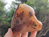 Polished on One Side Dendritic Agate Nodules x 2 From Madagascar