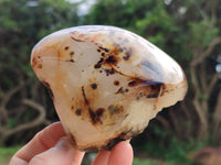 Polished on One Side Dendritic Agate Nodules x 2 From Madagascar