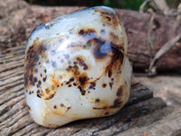 Polished on One Side Dendritic Agate Nodules x 2 From Madagascar