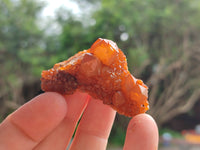 Natural Golden Solar Spirit Quartz Clusters x 35 From Boekenhouthoek, South Africa