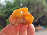 Natural Golden Solar Spirit Quartz Clusters x 35 From Boekenhouthoek, South Africa