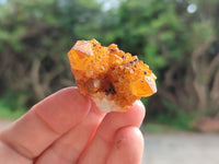 Natural Golden Solar Spirit Quartz Clusters x 35 From Boekenhouthoek, South Africa