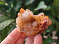 Natural Golden Solar Spirit Quartz Clusters x 35 From Boekenhouthoek, South Africa