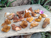 Natural Golden Solar Spirit Quartz Clusters x 35 From Boekenhouthoek, South Africa